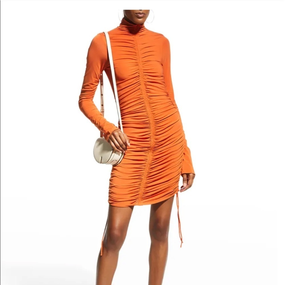 A. L. C bodycon dress NEW